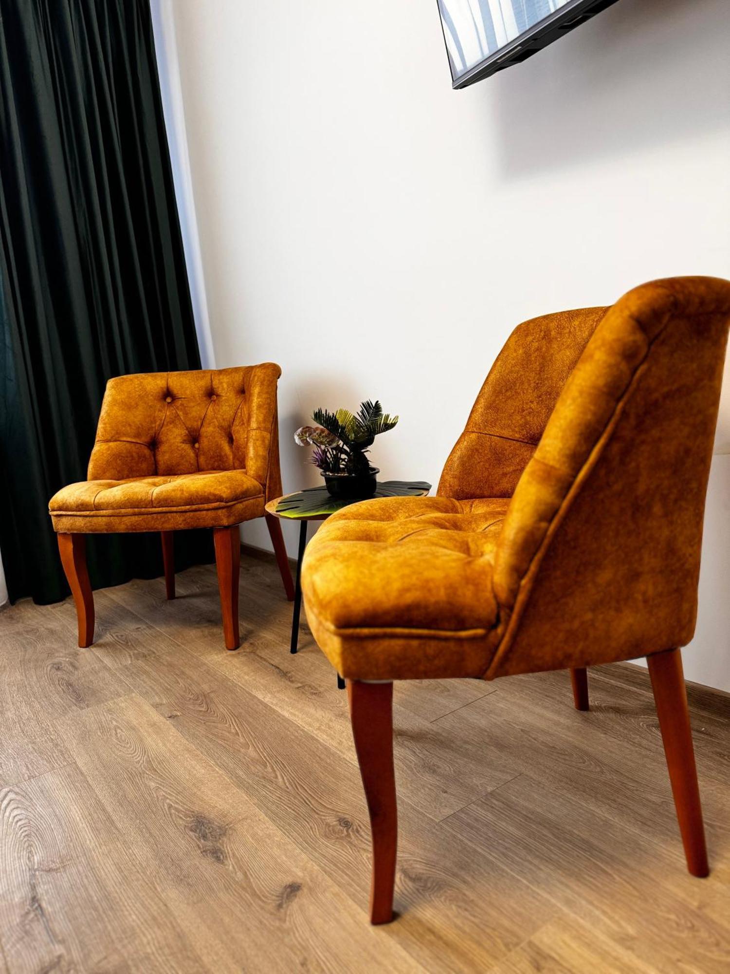 Jungle Loft Apartment Suceava Ngoại thất bức ảnh